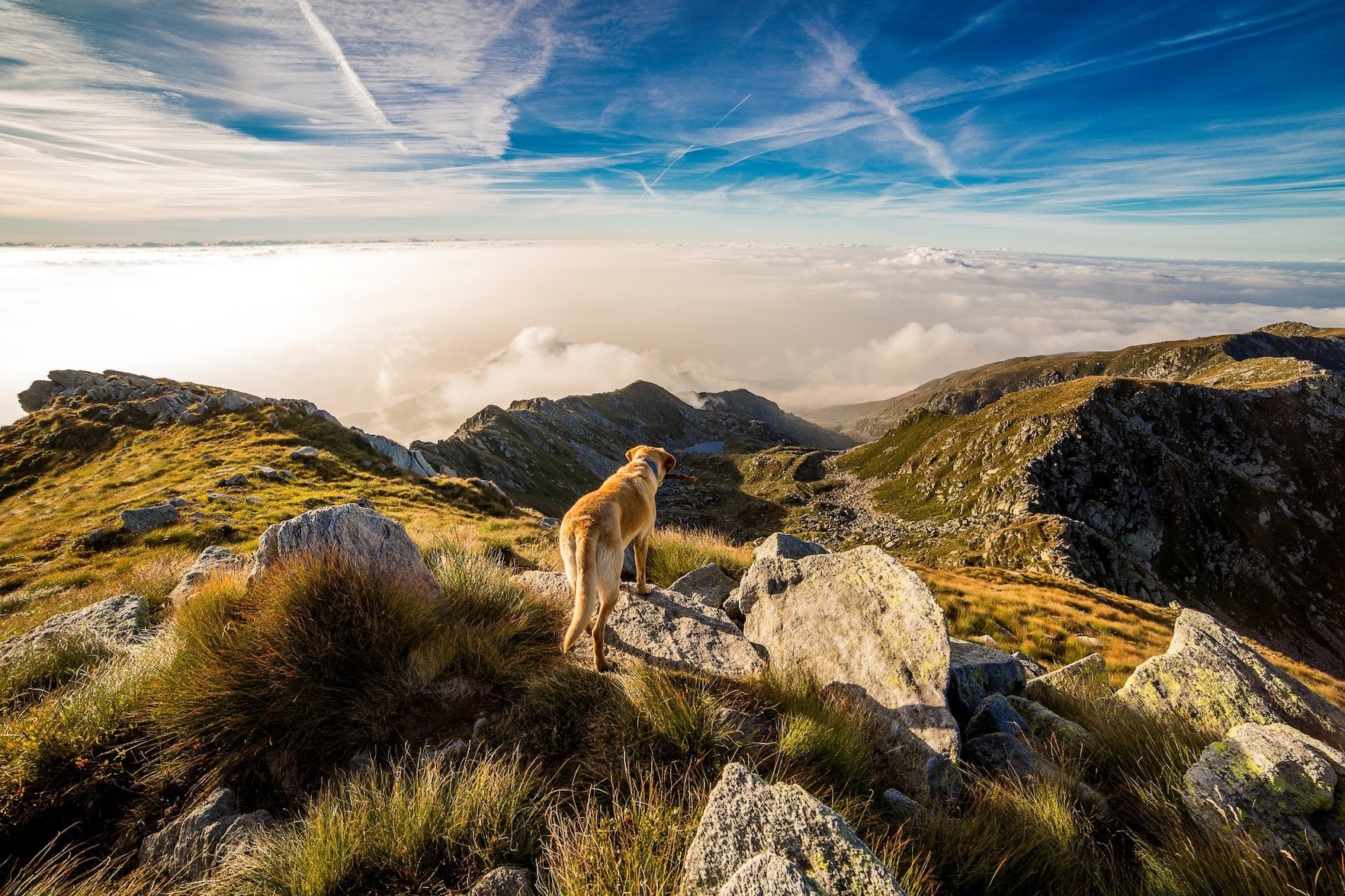 Le Montagne della Duchessa: la destinazione ideale per fare escursionismo con il tuo cane