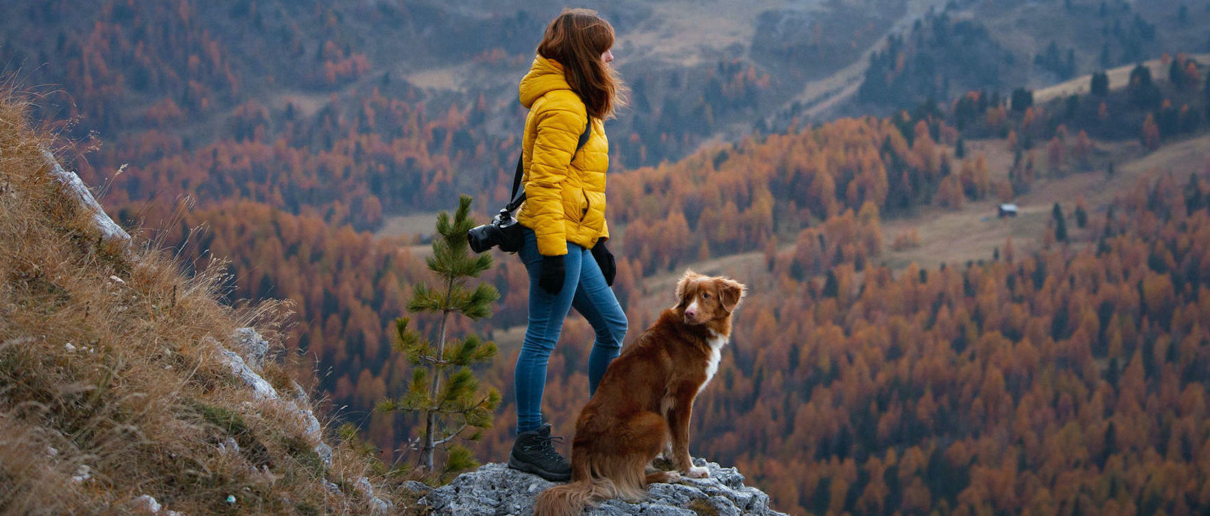 Trekking con il cane