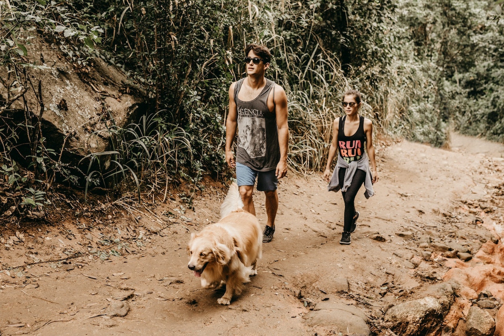 Esplorare il Parco Nazionale del Circeo con il tuo Cane: Il Tuo Pratico Vademecum per Escursioni Indimenticabili