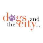 Dogs and the City SSD