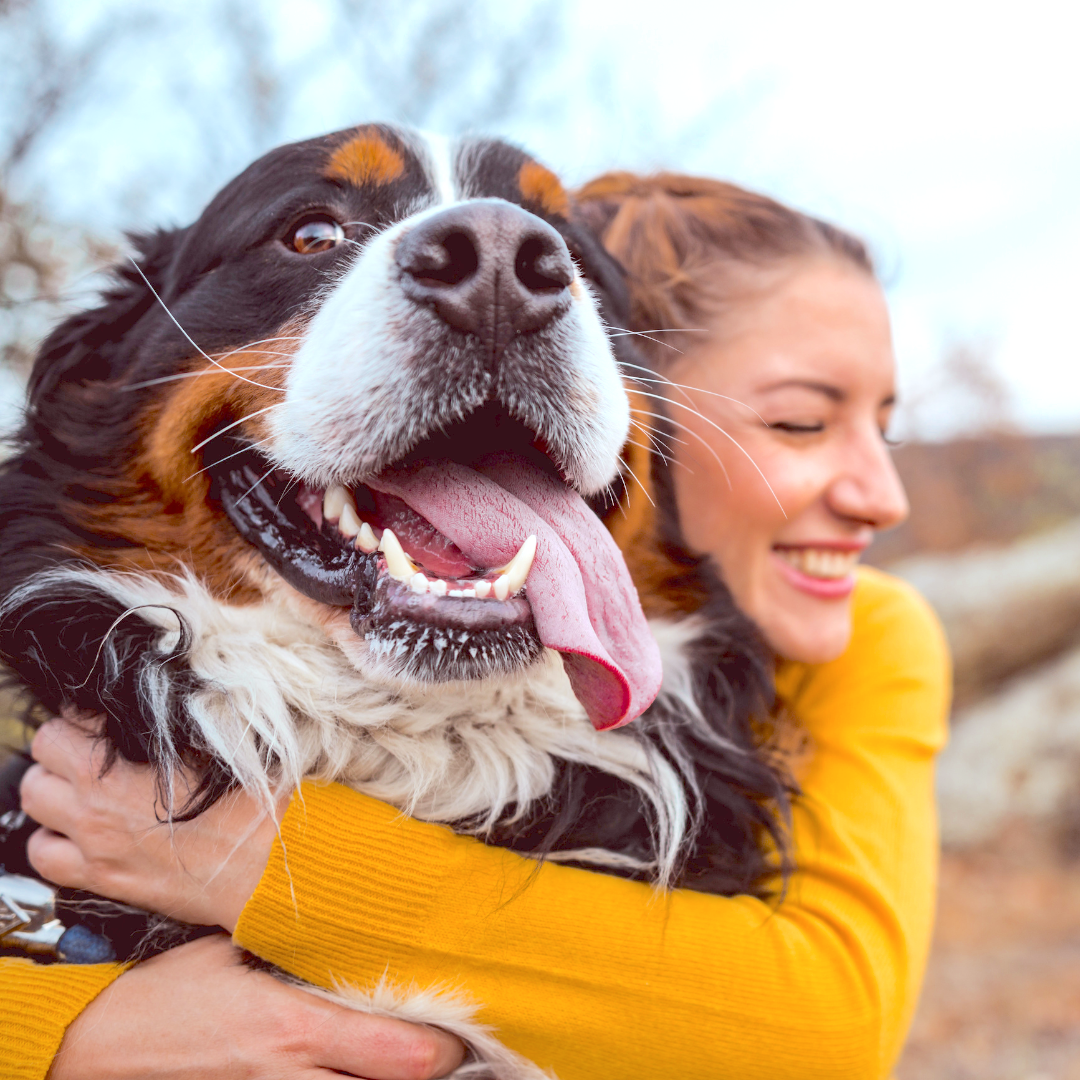 Accedi tramite immagine