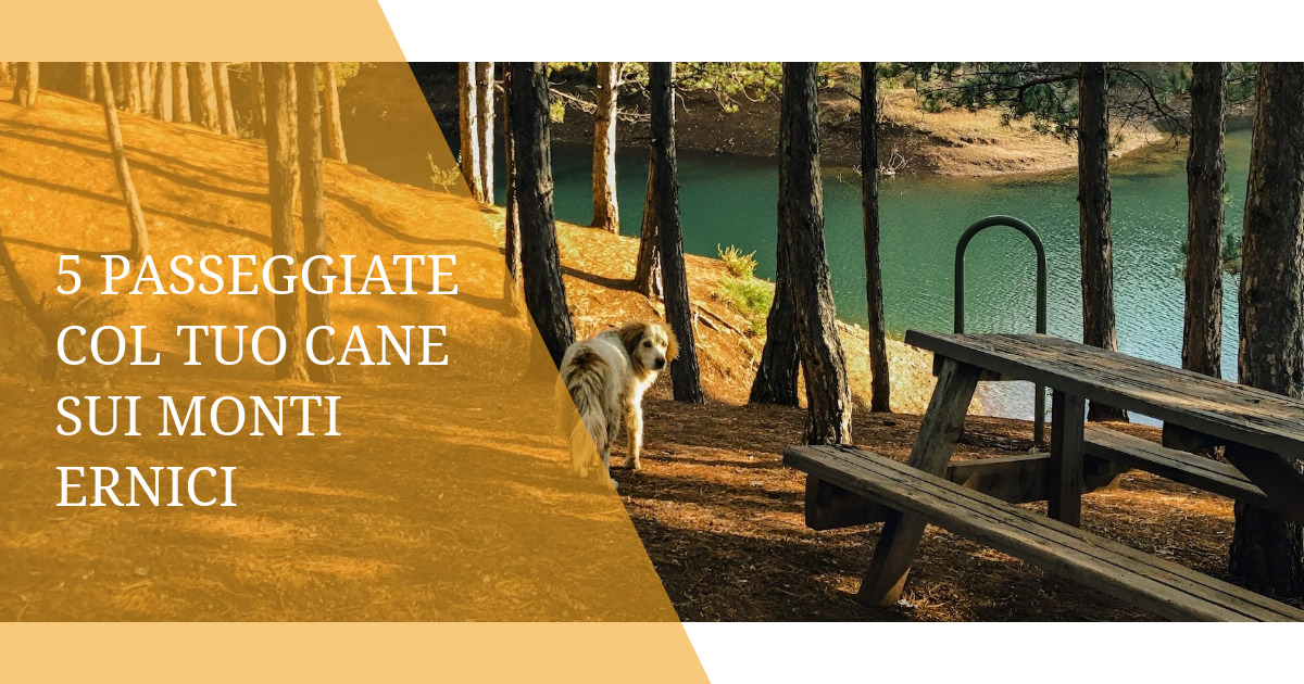 5 passeggiate col tuo cane sui Monti Ernici