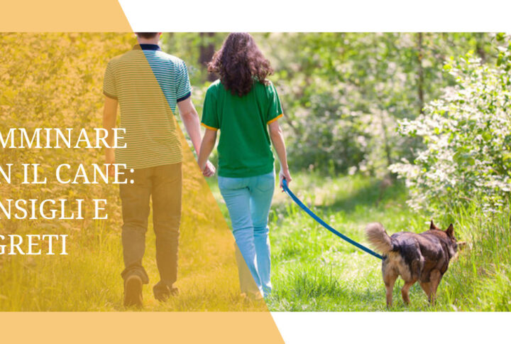 Camminare con il cane: consigli e segreti