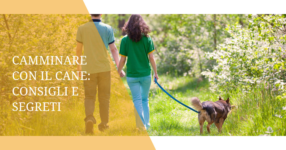 Camminare con il cane: consigli e segreti