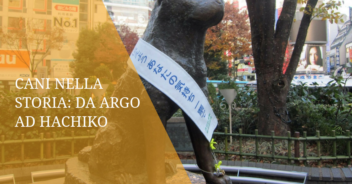 Cani nella storia: da Argo ad Hachiko