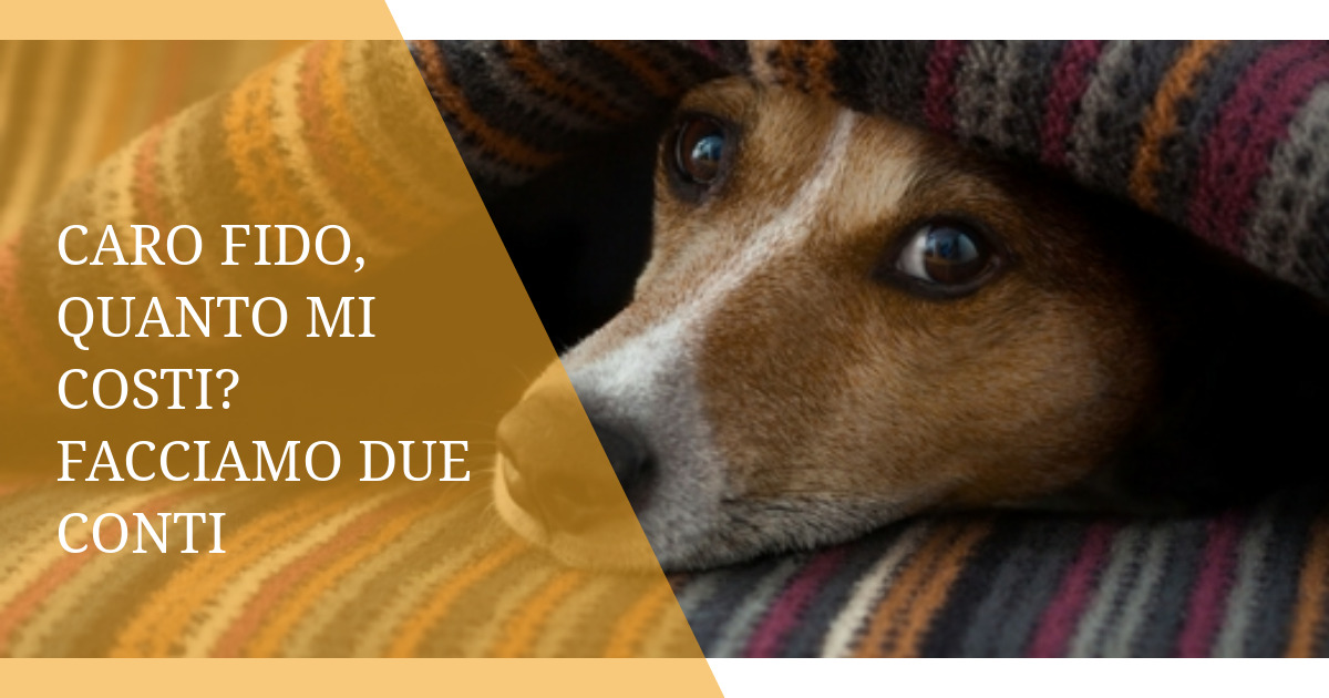 Caro Fido, quanto mi costi? Facciamo due conti