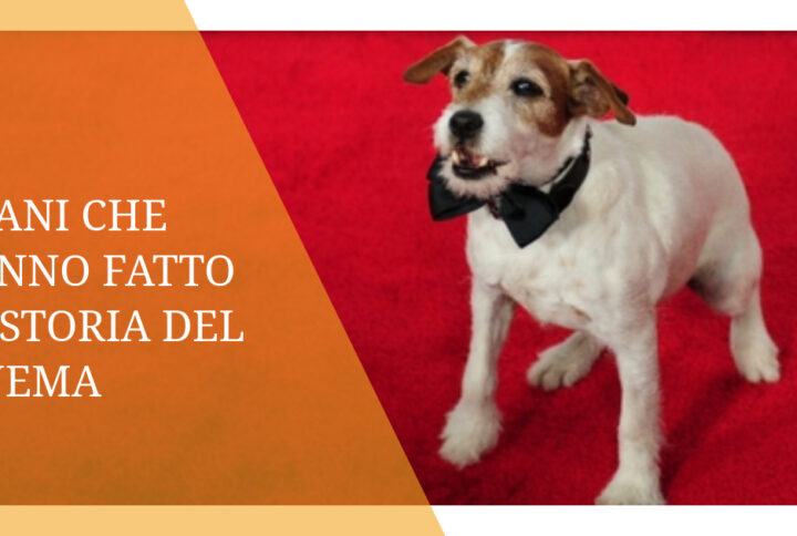 7 cani che hanno fatto la storia del cinema