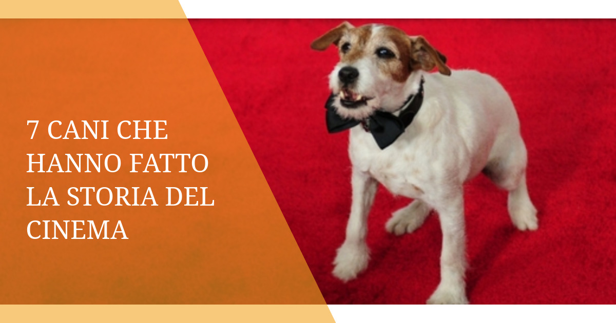 7 cani che hanno fatto la storia del cinema