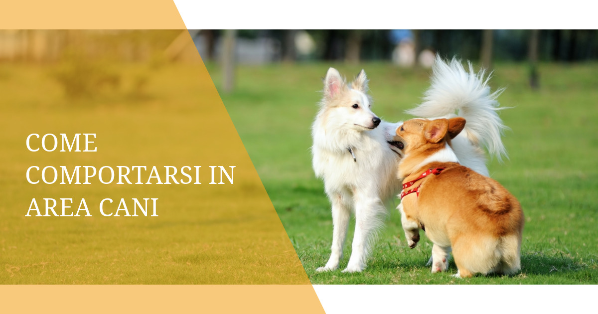 Come comportarsi in area cani