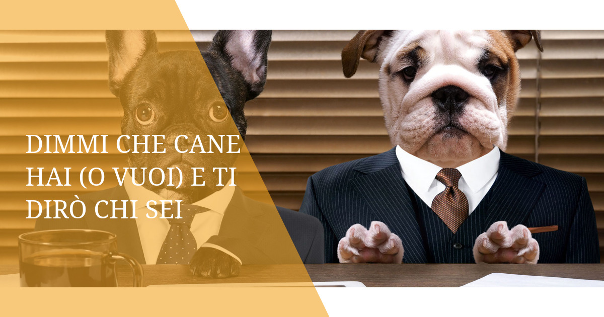 Dimmi che cane hai (o vuoi) e ti dirò chi sei
