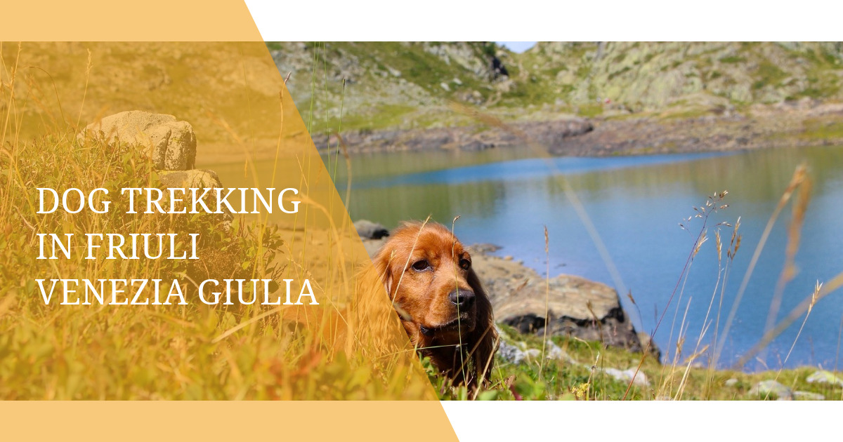Dog trekking in Friuli Venezia Giulia