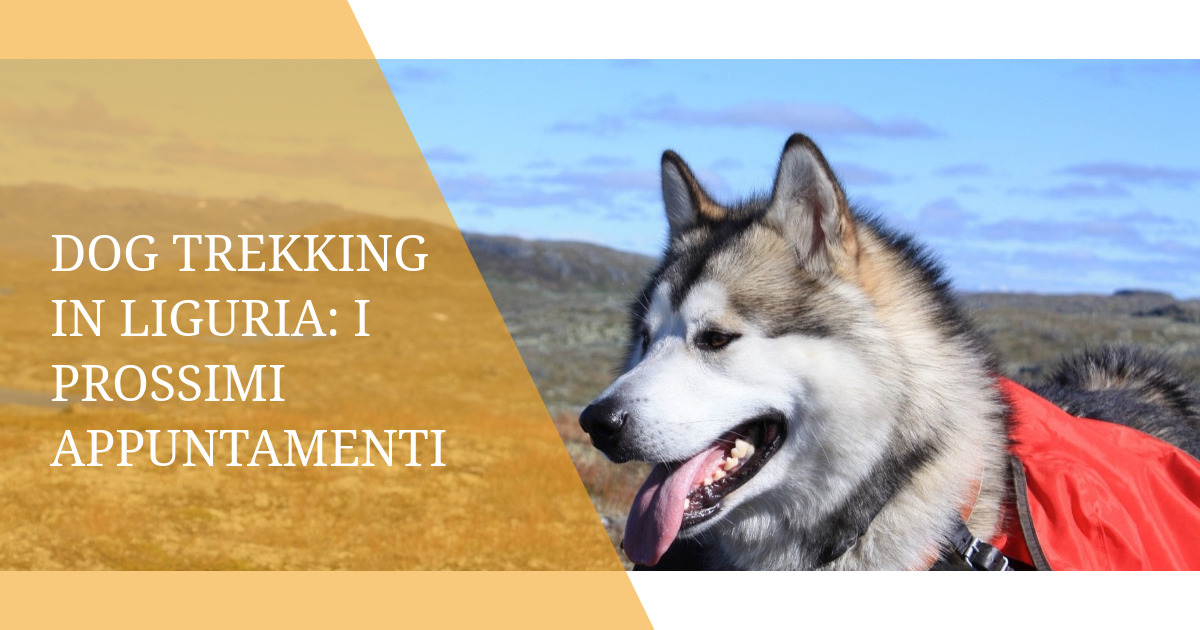 Dog trekking in Liguria: i prossimi appuntamenti