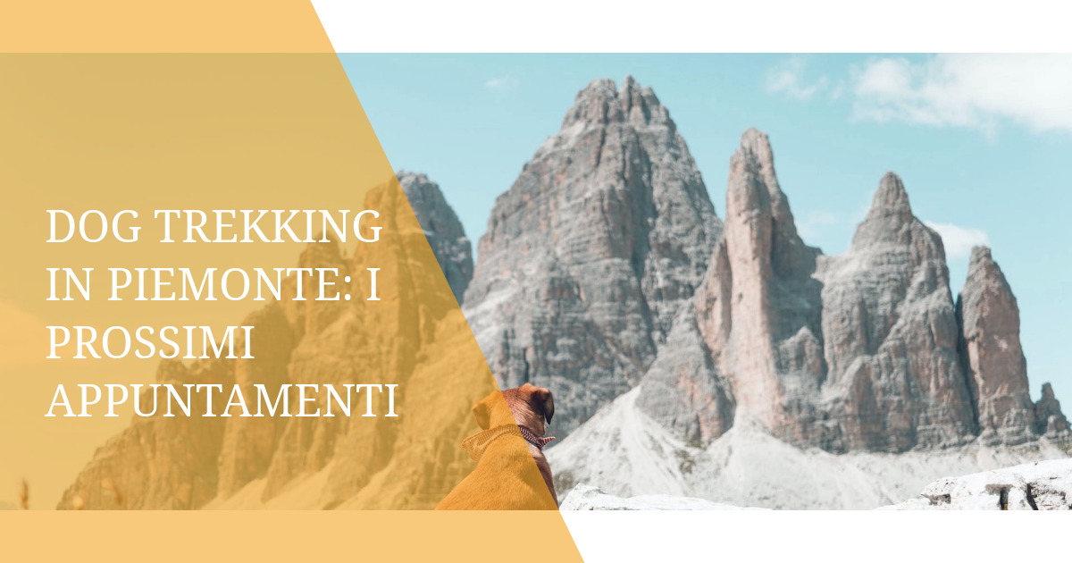 Dog trekking in Piemonte: i prossimi appuntamenti