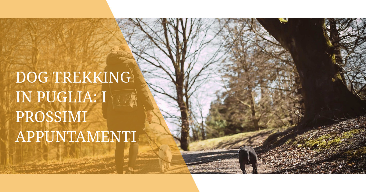 Dog trekking in Puglia: i prossimi appuntamenti