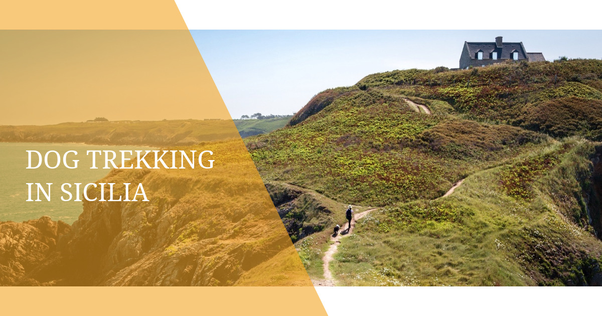 Dog trekking in Sicilia