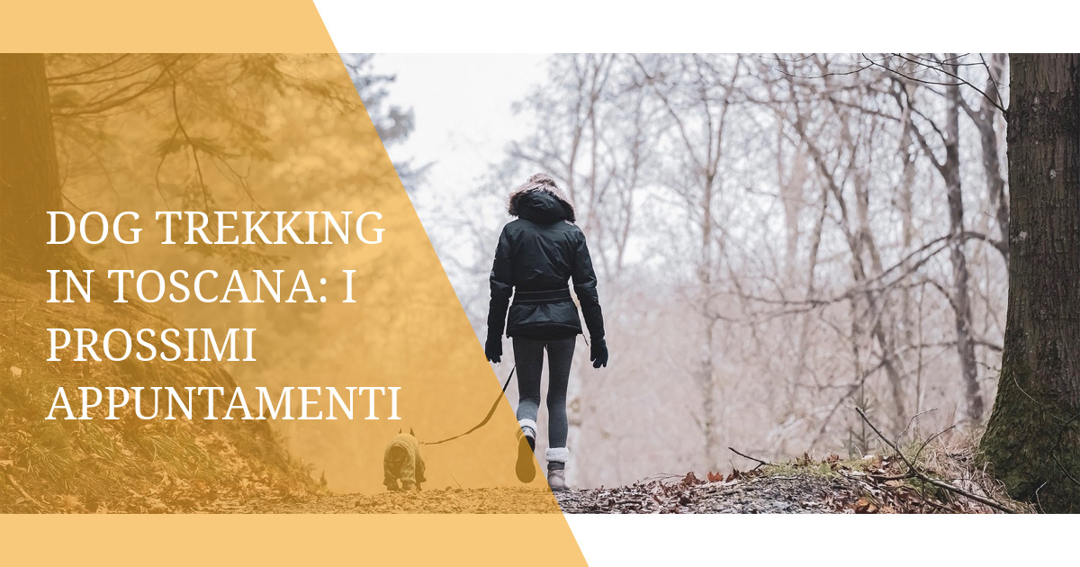 Dog trekking in Toscana: i prossimi appuntamenti