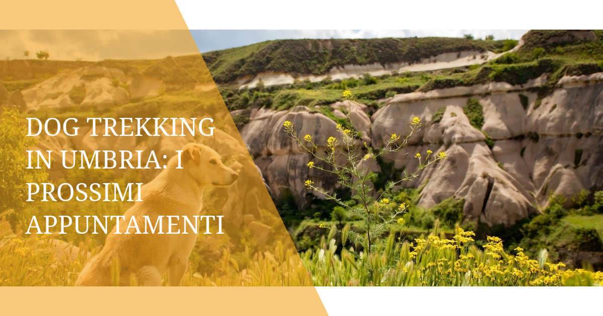 Dog trekking in Umbria: i prossimi appuntamenti