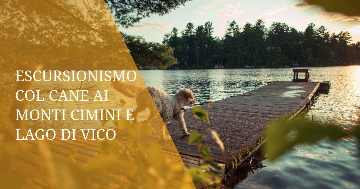 Escursionismo col cane ai Monti Cimini e Lago di Vico