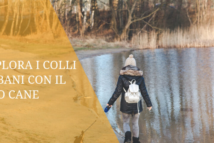 Esplora i Colli Albani con il Tuo Cane