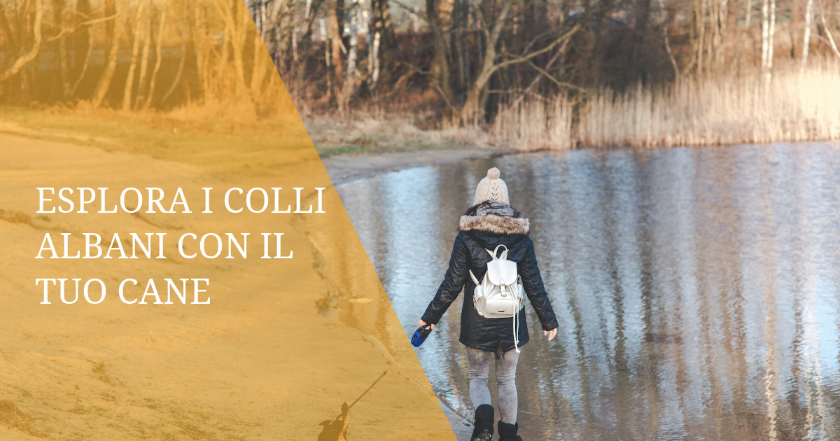 Esplora i Colli Albani con il Tuo Cane