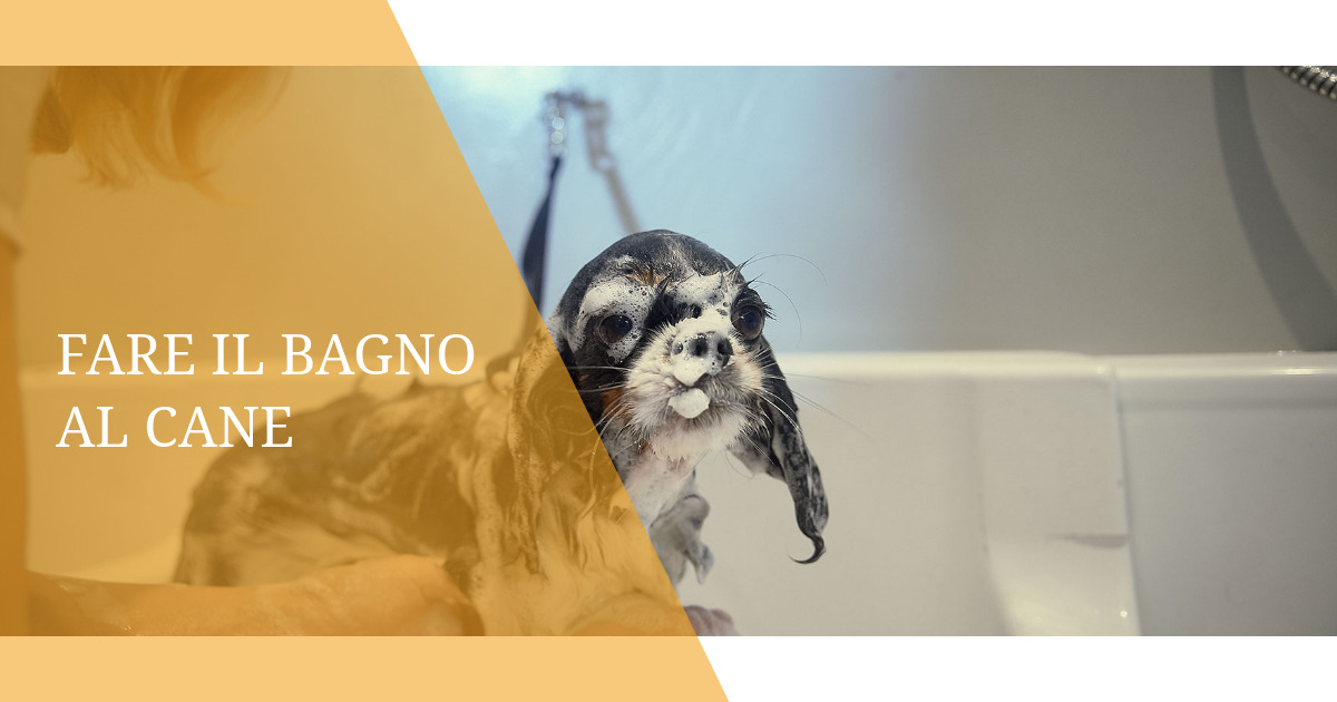 Fare il bagno al cane