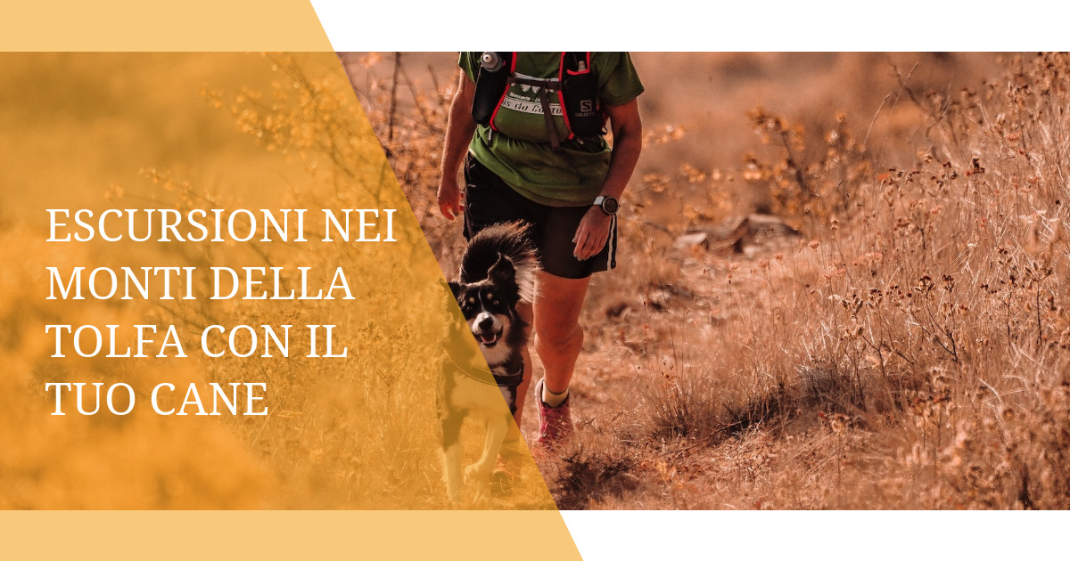 Escursioni nei Monti della Tolfa con il tuo Cane