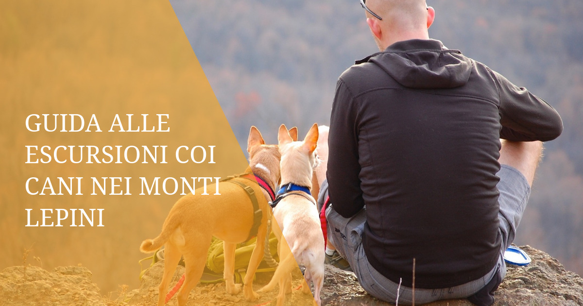 Guida alle Escursioni coi Cani nei Monti Lepini