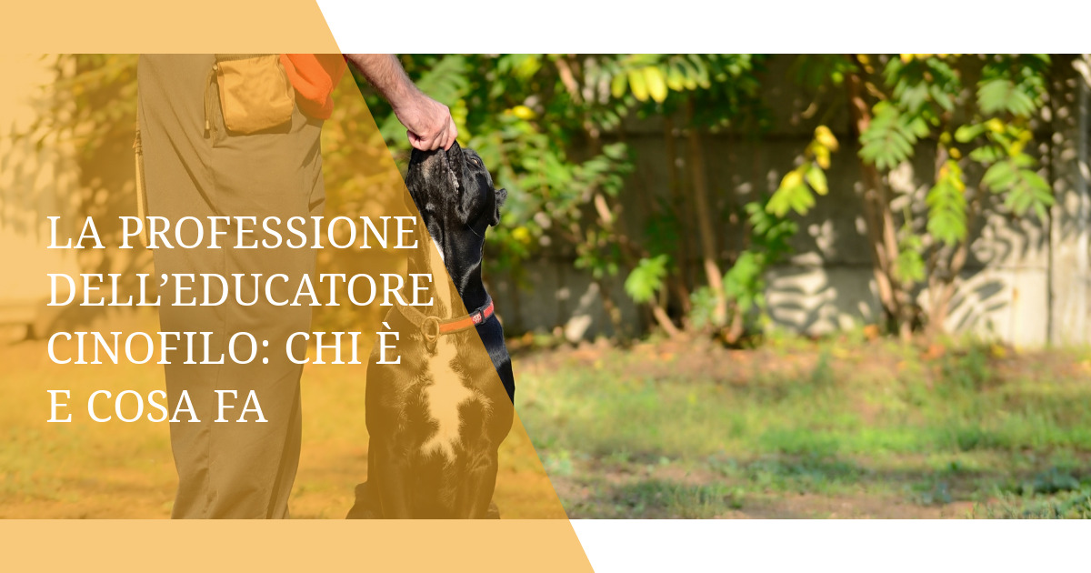 La professione dell’educatore cinofilo: chi è e cosa fa