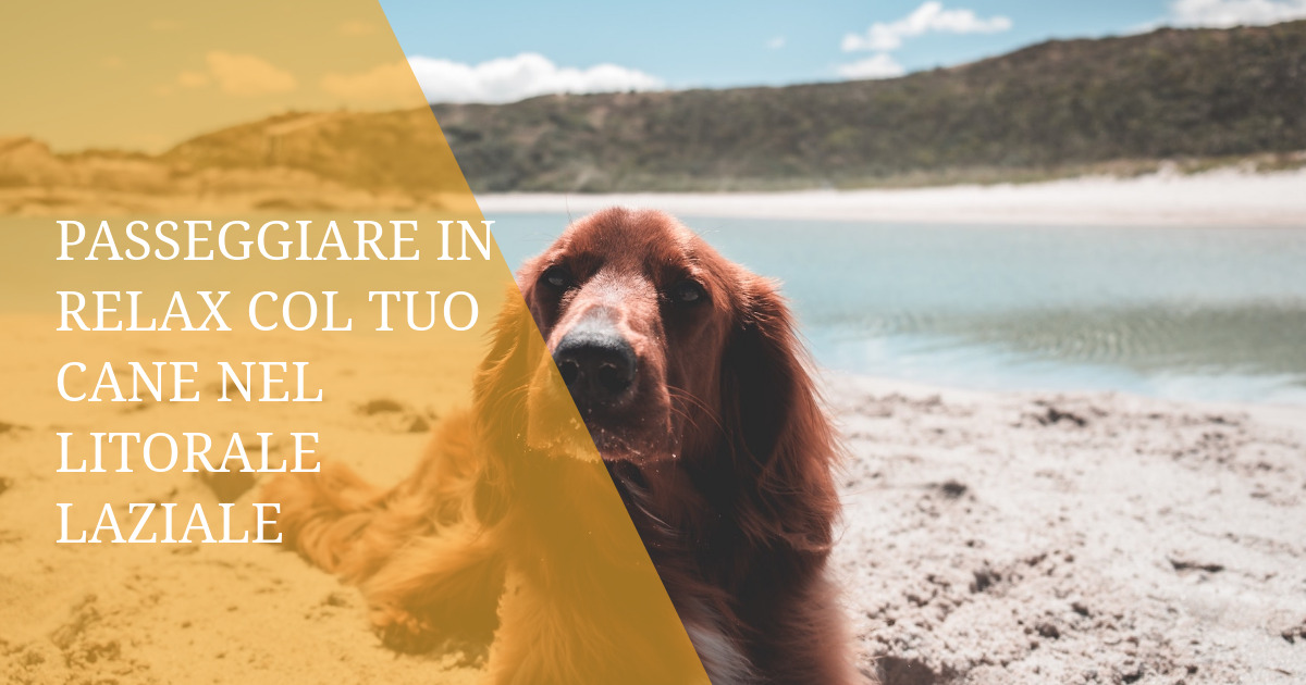 Passeggiare in Relax col Tuo Cane nel Litorale Laziale