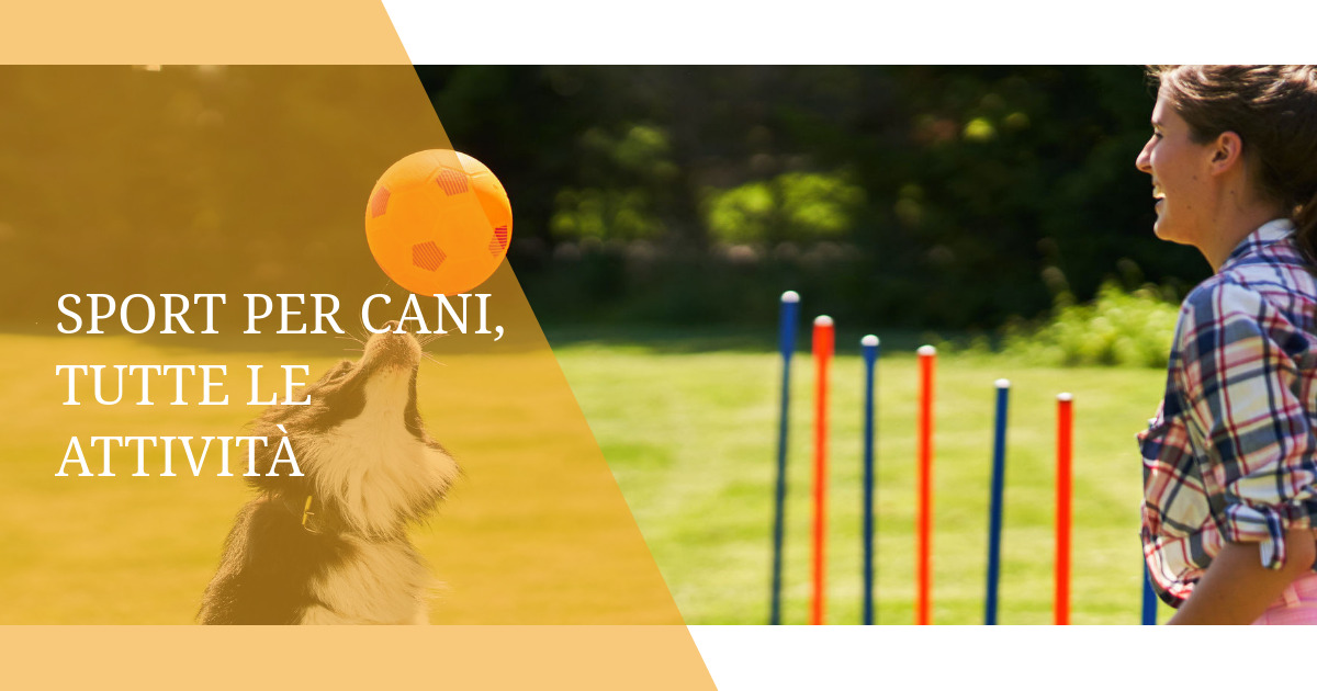Sport per cani, tutte le attività