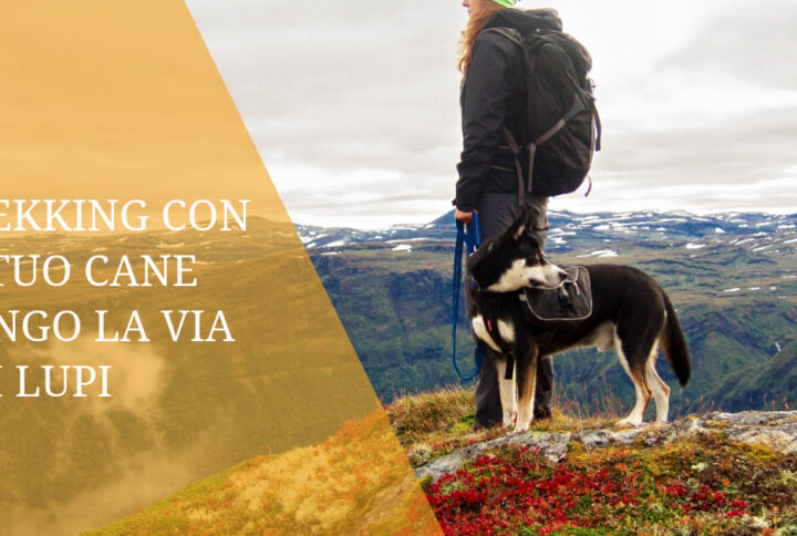 Trekking con il Tuo Cane lungo la Via dei Lupi