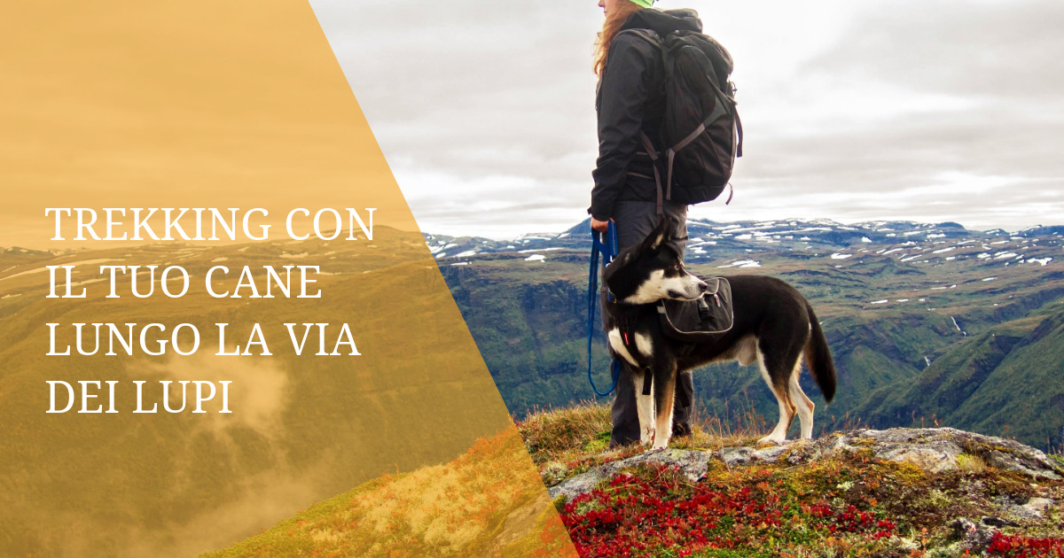 Trekking con il Tuo Cane lungo la Via dei Lupi