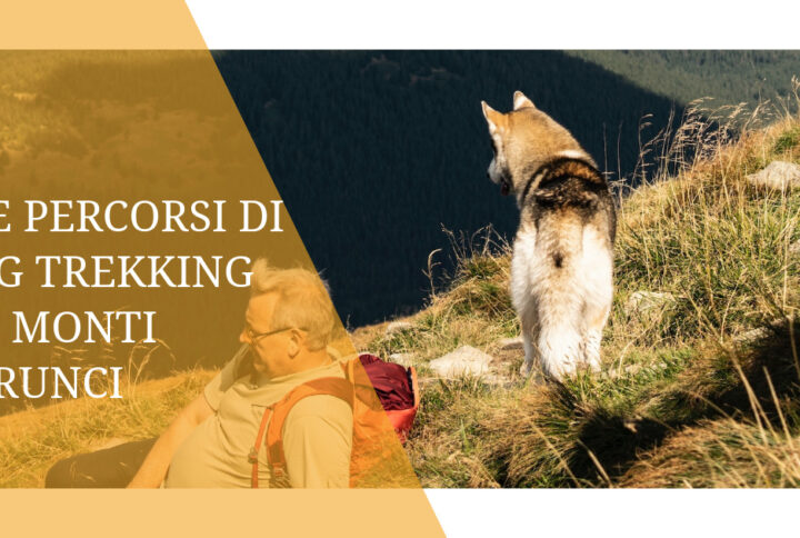 Tre percorsi di Dog trekking sui Monti Aurunci