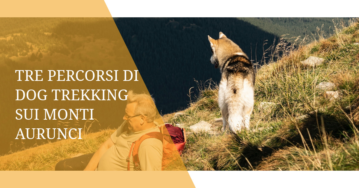 Tre percorsi di Dog trekking sui Monti Aurunci