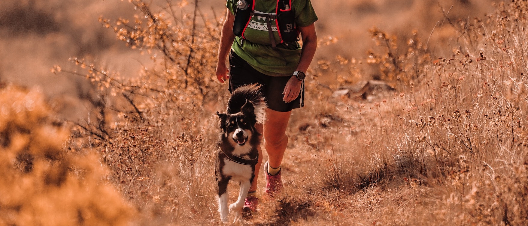 Dog trekking in Friuli Venezia Giulia: i prossimi appuntamenti