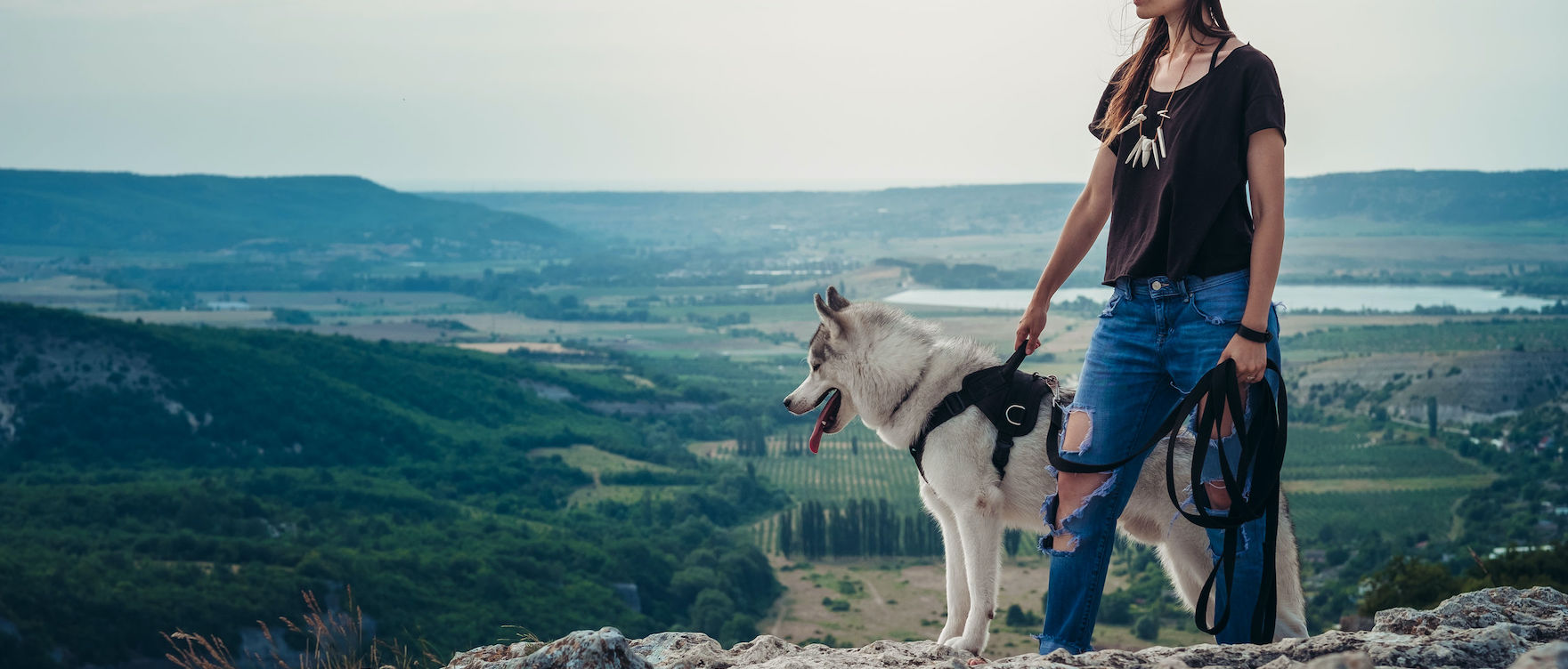 Sette percorsi per passeggiate con il cane al Parco del Circeo