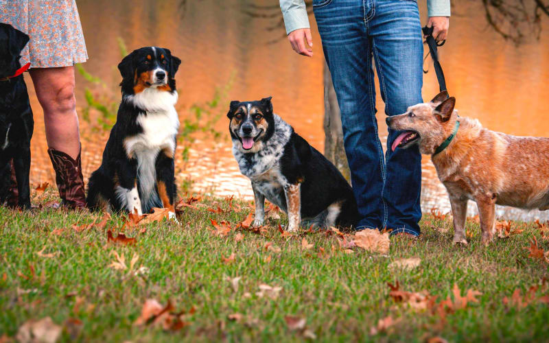 Itinerari consigliati da Kanito