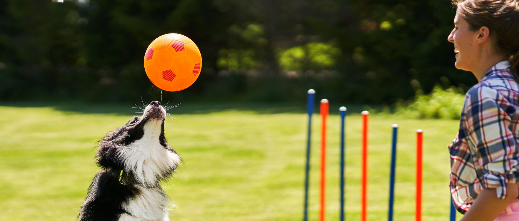 Il cane che scegli racconta la tua storia.
