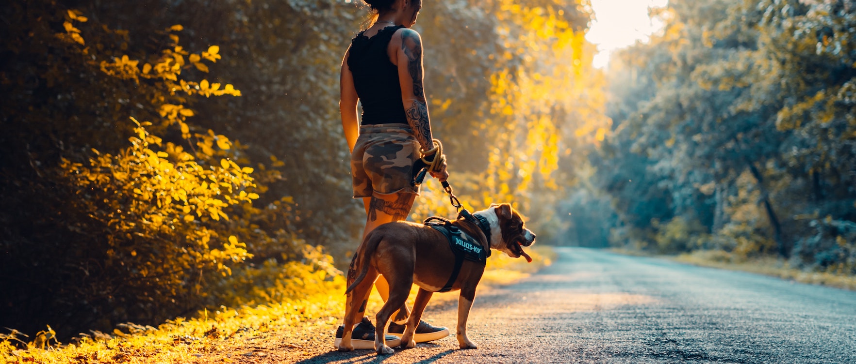 Dog Trekking ai Monti Cimini: borghi, laghi e boschi incantevoli