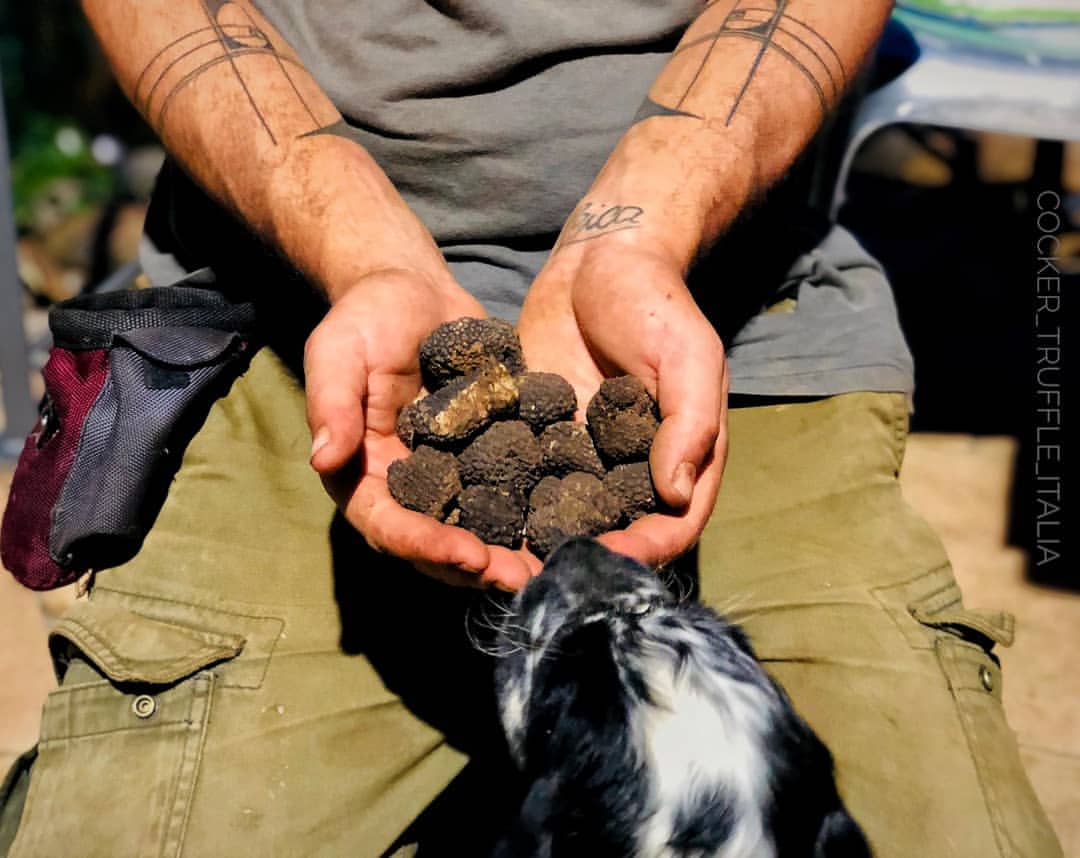 La-Montagnola-Truffe-Experience-754CAF57-6550-47E4-9EB1-8777FD06CCC1 La-Montagnola-Truffe-Experience-754CAF57-6550-47E4-9EB1-8777FD06CCC1