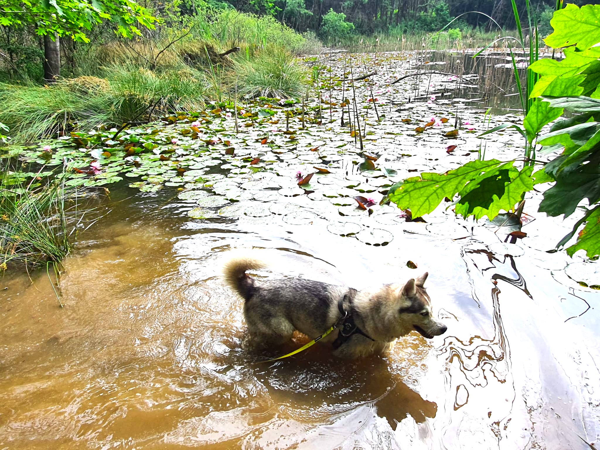 Educational Walk to the Blue Lake 3: Kanito Experience Passeggiata-Educativa-al-Lago-Azzurro-3-Esperienza-Kanito