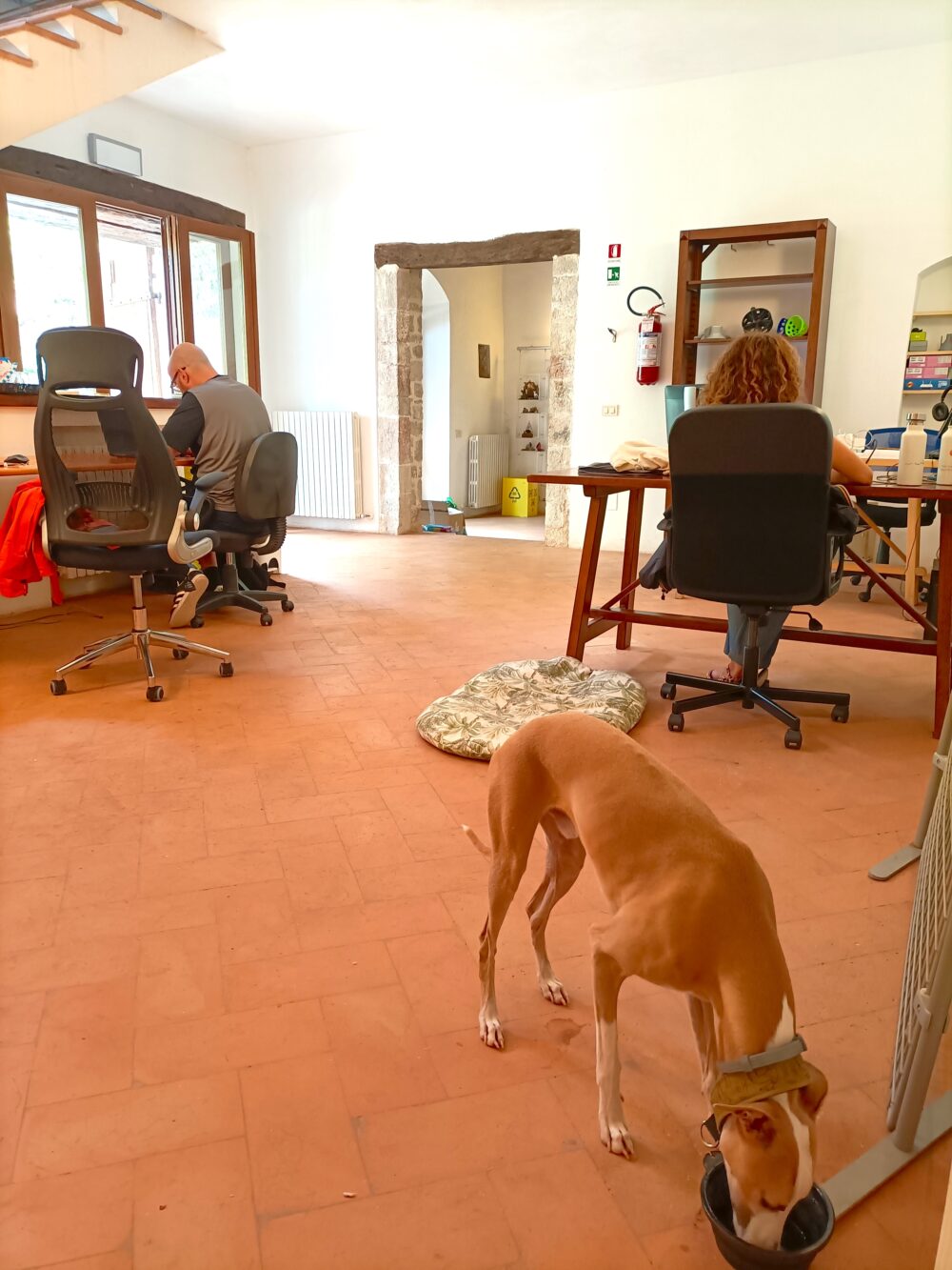 Prova lo Smart Working in Borgo col Tuo Cane
