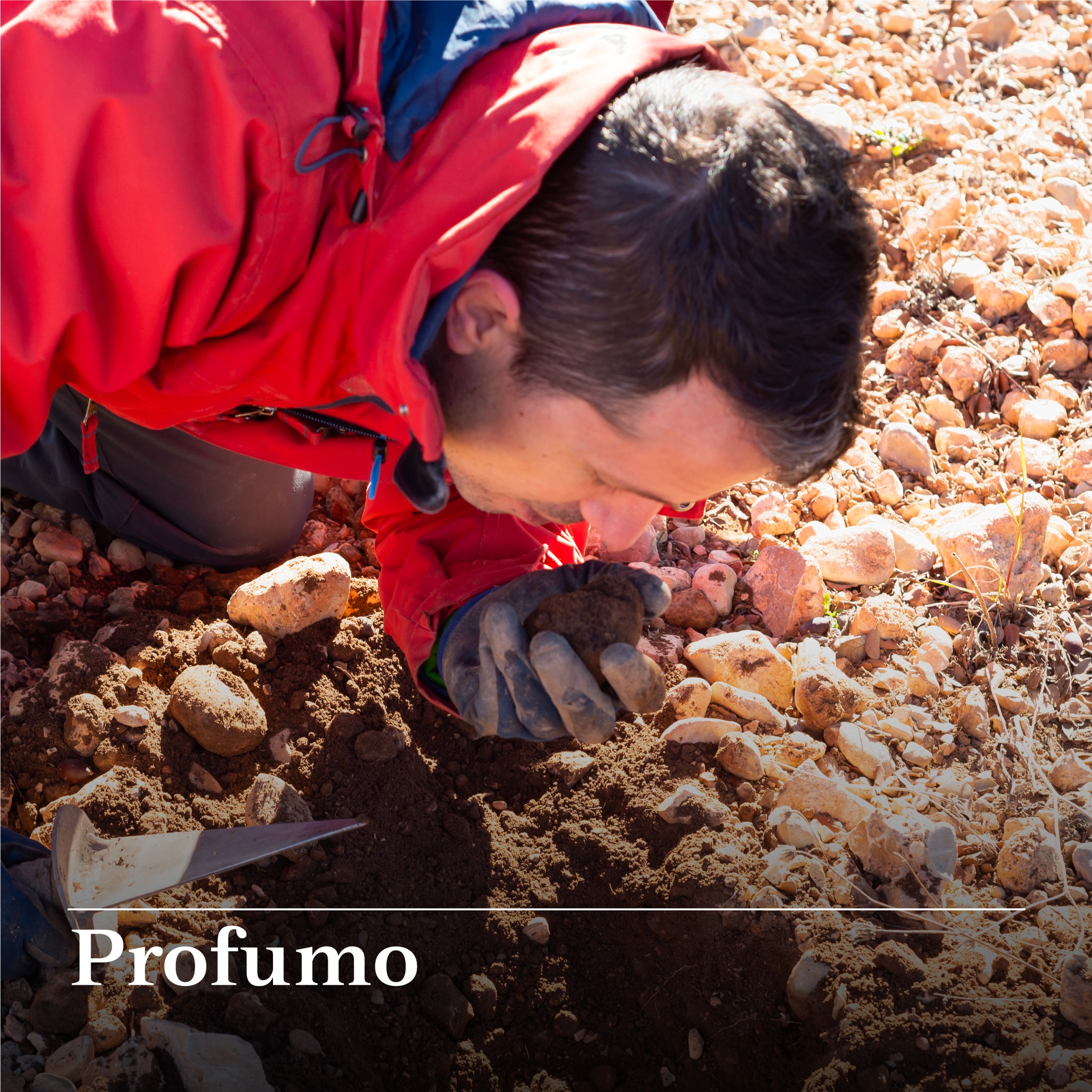 Truffle-Experience-Truffles-Priest-Experience-Kanito-6 Truffle-Experience-Tartufi-Prete-Esperienza-Kanito-6