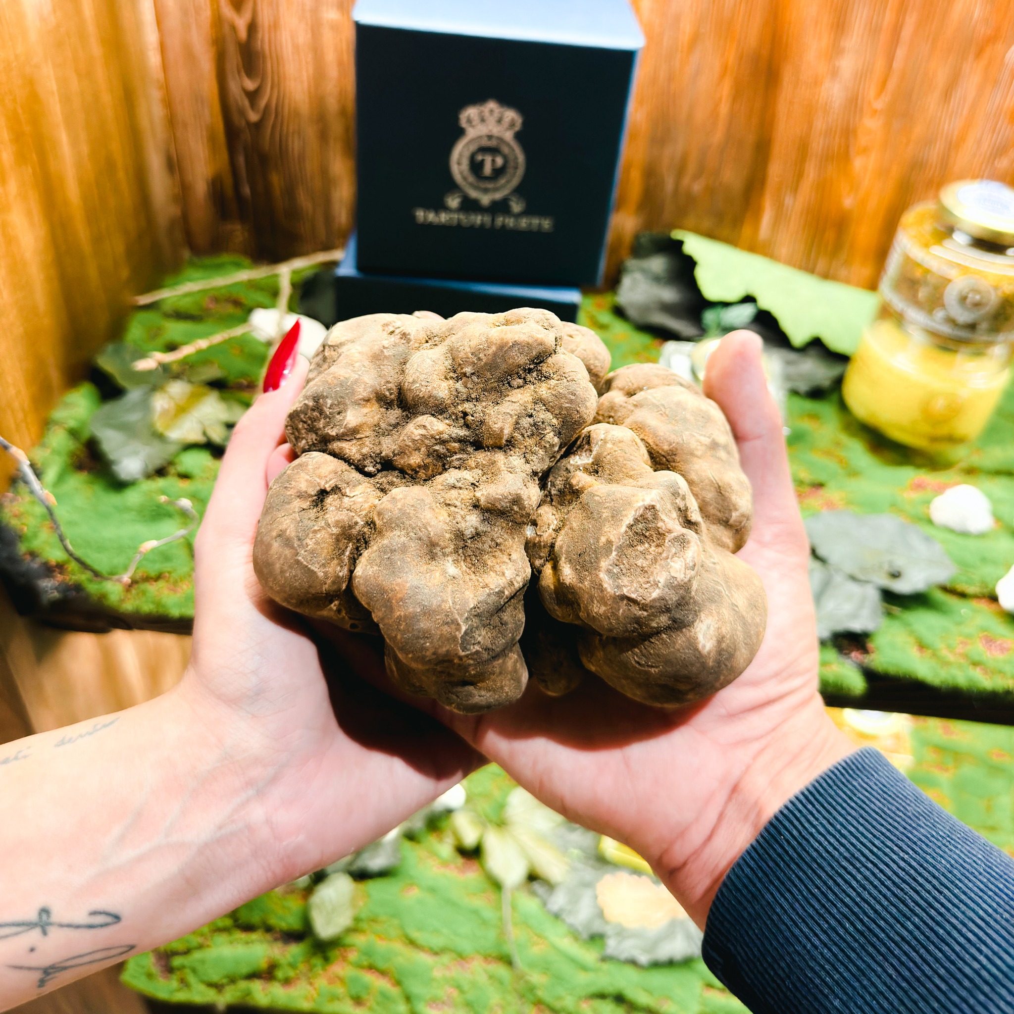Truffle-Experience-Truffles-Priest-Experience-Kanito-7 Truffle-Experience-Tartufi-Prete-Esperienza-Kanito-7