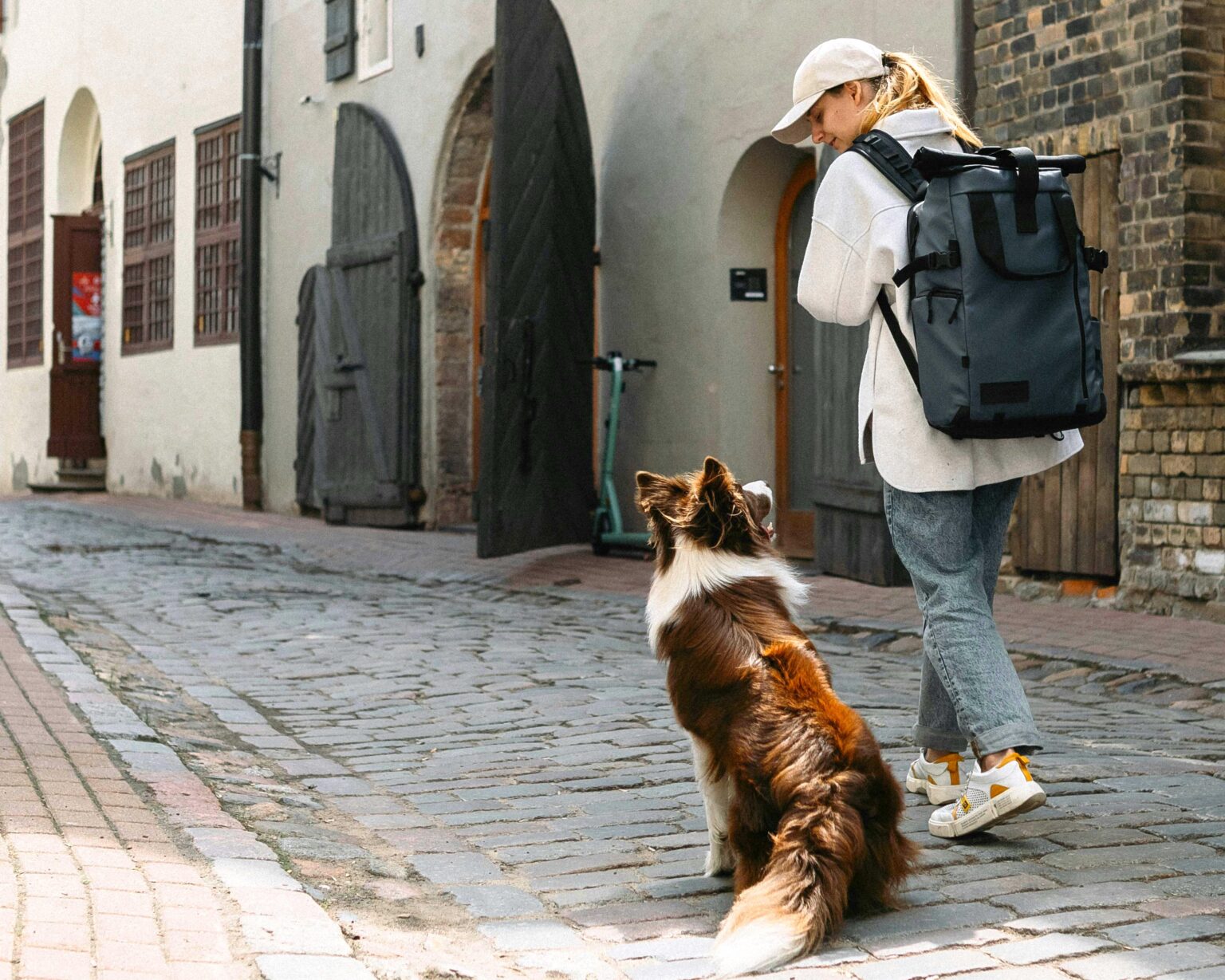 Ragazza cammina con cane Border Collie in un vicolo medievale