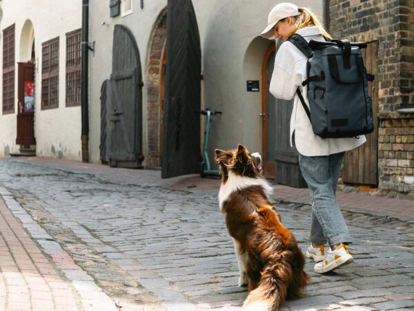 Ragazza cammina con cane Border Collie in un vicolo medievale