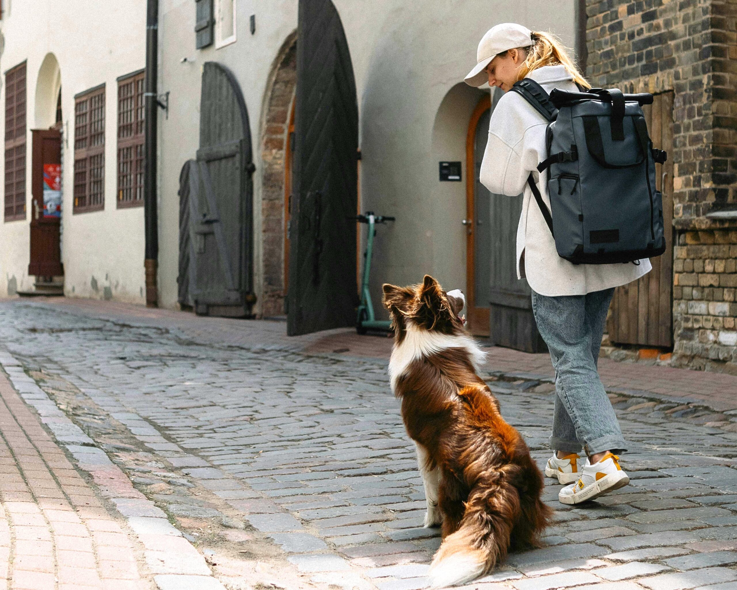 Ragazza cammina con cane Border Collie in un vicolo medievale